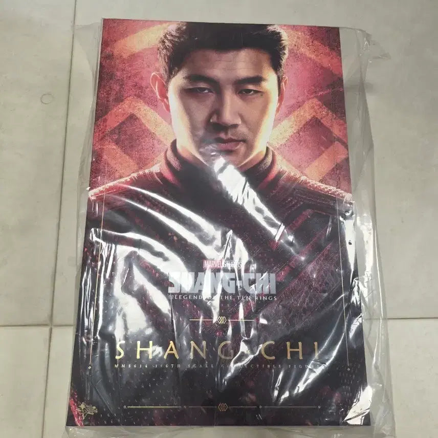 [BUNJANG] Hot Toys Shang-Chi 1/6 Scale Figure Sealed / 핫토이 샹치 피규어 미개봉 새상품