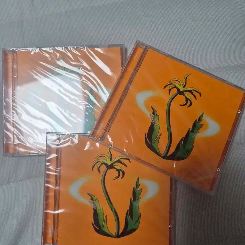 [BUNJANG] The Volunteers New Plant CD (Sealed) / the volunteers New plant CD (미개봉)