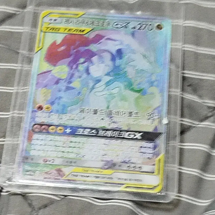 [BUNJANG] Pokémon Card Reshiram TAG TEAM HR / 포켓몬카드 레시라무 태그팀 hr 팔아요 번장유일매물