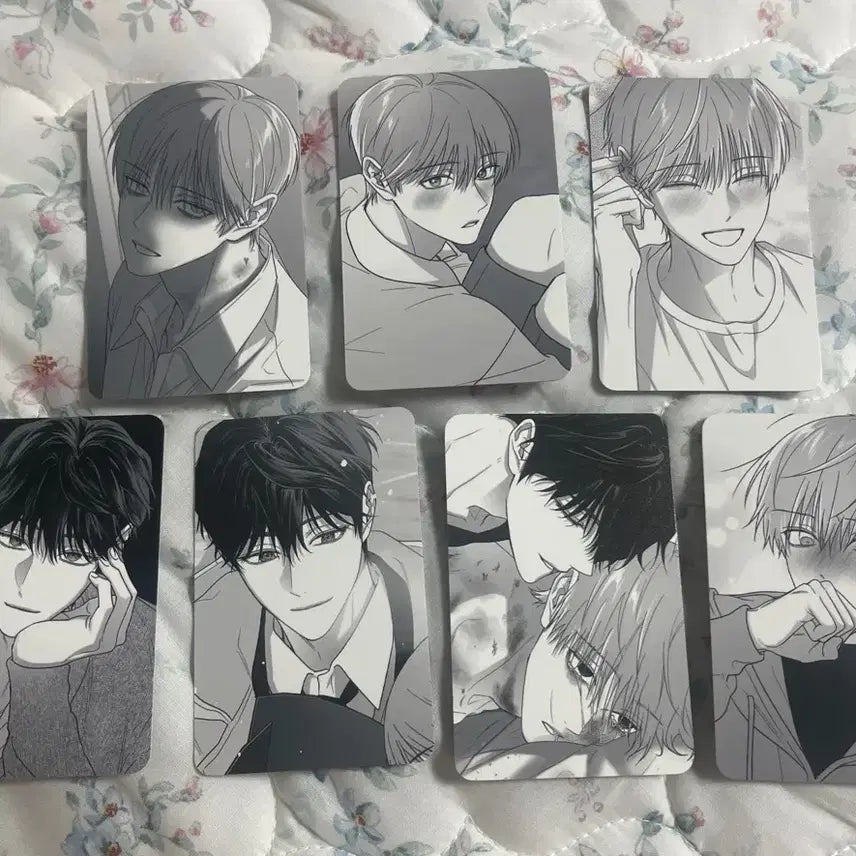 [BUNJANG] Nonzero Sum Photocard Bundle Set / 논제로섬 포토카드 포카 컬포 일괄
