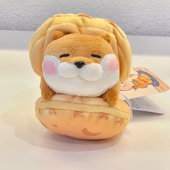 [BUNJANG] Pancake Otter Plush Keychain / 정품)팬케이크 수달 인형 키링