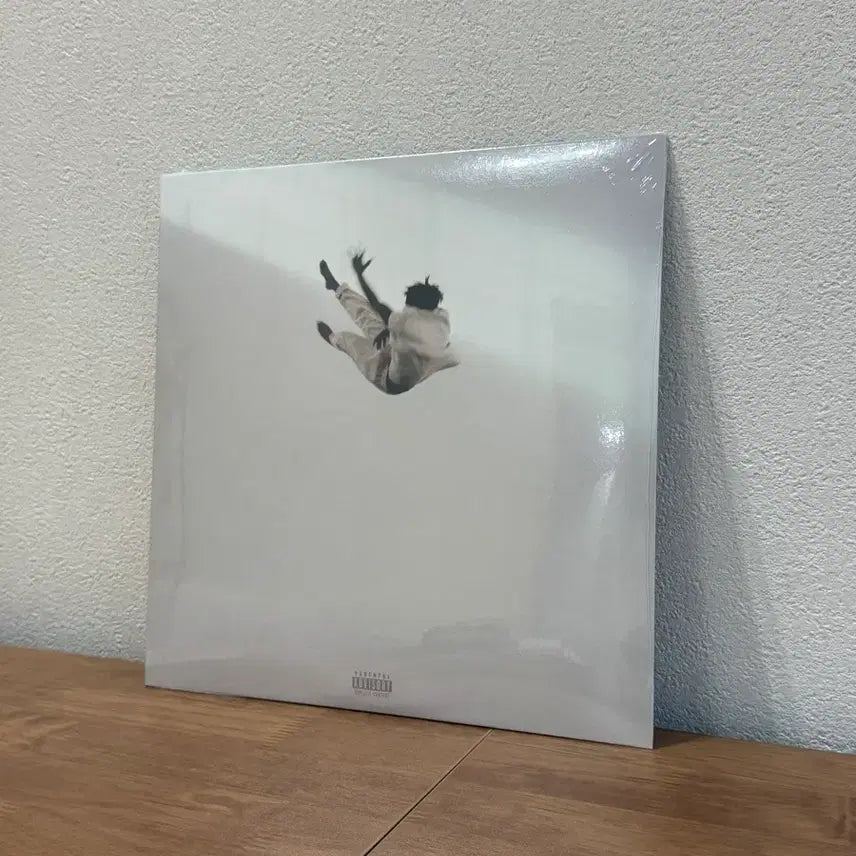 [BUNJANG] Daniel Caesar Pilgrim Paradise LP / 다니엘시저 pilgrim paradise LP