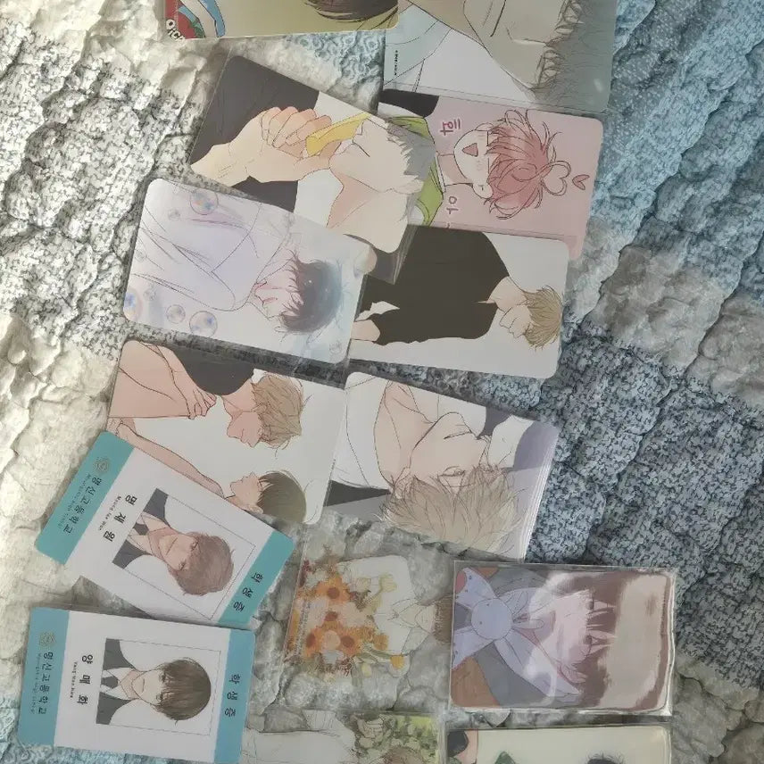 [BUNJANG] Chungsagwanakwon Myungmae Student ID Photocard Bundle Set / 청사과낙원 명매 학생증 포카 일괄