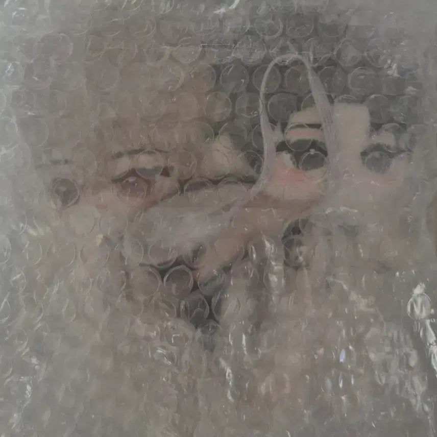 [BUNJANG] Nyangchangha Character Doll / 변호됨 인형 늉강차 해피투게더 몽글승쟹 일괄 양도