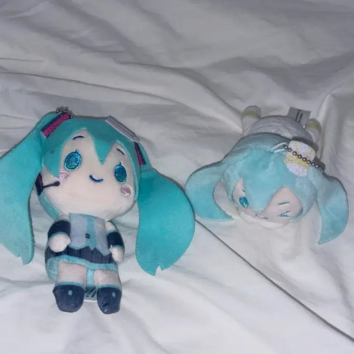 [BUNJANG] Hatsune Miku Cinnamoroll Collaboration Hug Character Plush / 하츠네미쿠 시나모롤콜라보 인형 허그캬라