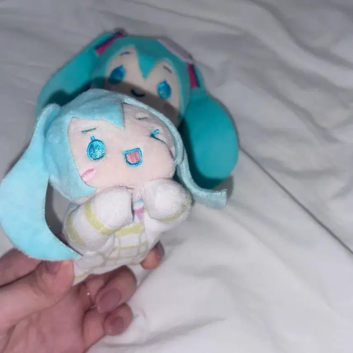 [BUNJANG] Hatsune Miku Cinnamoroll Collaboration Hug Character Plush / 하츠네미쿠 시나모롤콜라보 인형 허그캬라