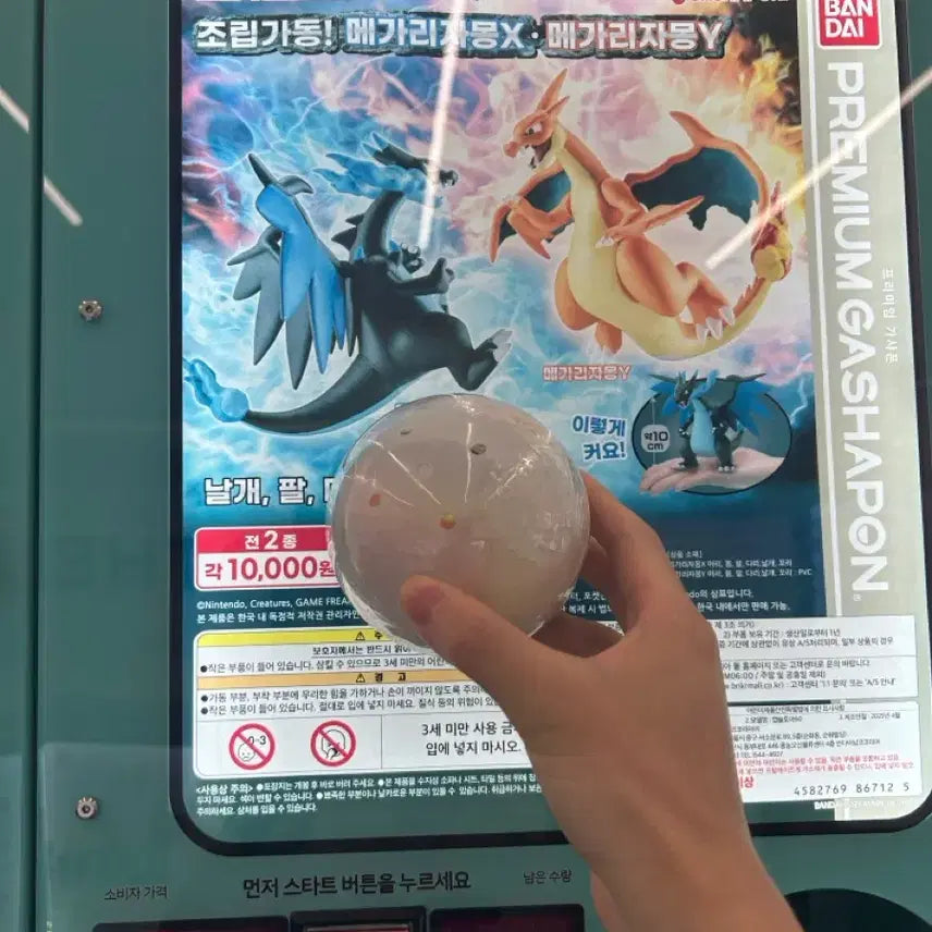 [BUNJANG] Mega Charizard Y Gacha Limited Edition / 메가리자몽 가챠