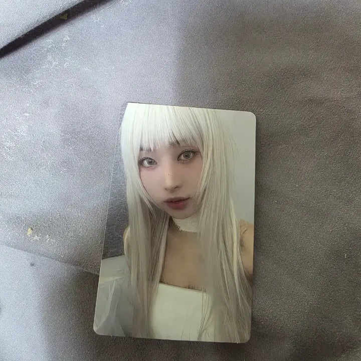 [BUNJANG] EVERGLOW Photocard / 에버글로우 포토카드