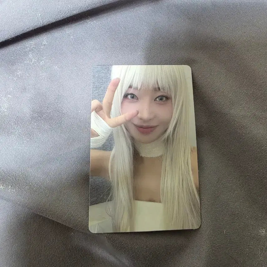 [BUNJANG] EVERGLOW Photocard / 에버글로우 포토카드