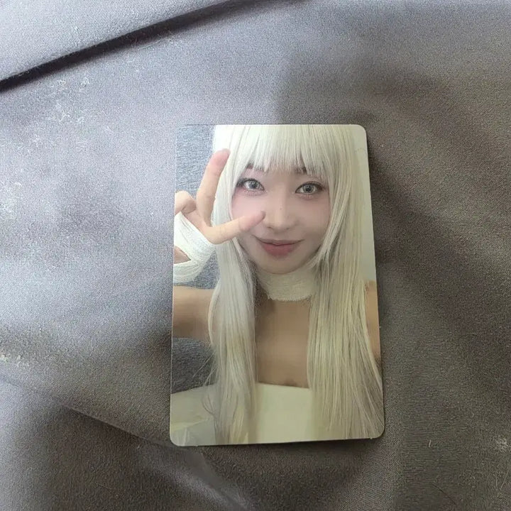 [BUNJANG] EVERGLOW Photocard / 에버글로우 포토카드