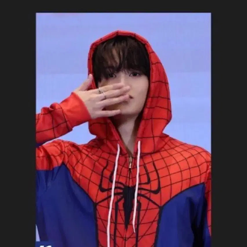 [BUNJANG] Mark Spider-Man Frame / 마크 스파이더맨 액자 mark 양도