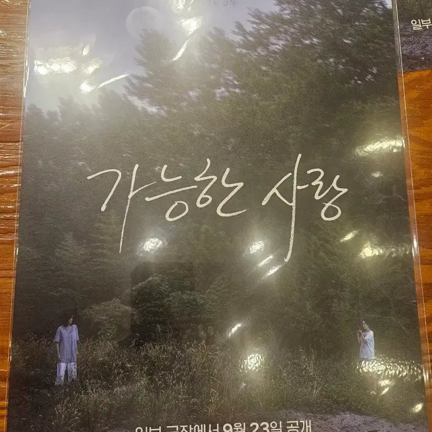 [BUNJANG] Possible Love (2023) Movie Poster / 박스) 가능한 사랑 포스터