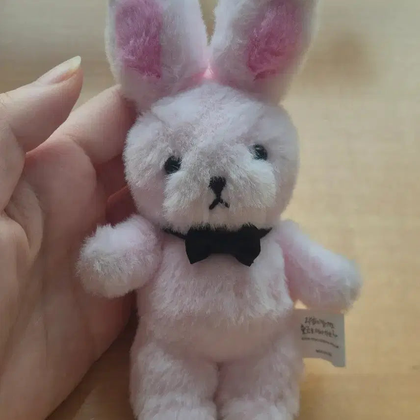 [BUNJANG] Line Friends Brown Ghost Commute Keychain / 괴담출근 브라운 키링