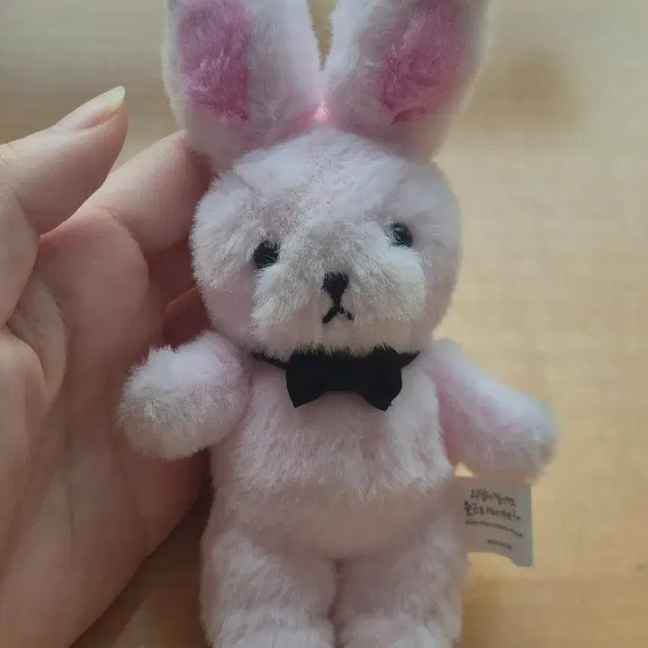 [BUNJANG] Line Friends Brown Ghost Commute Keychain / 괴담출근 브라운 키링