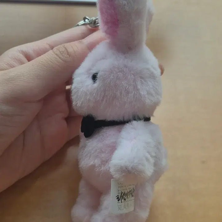 [BUNJANG] Line Friends Brown Ghost Commute Keychain / 괴담출근 브라운 키링