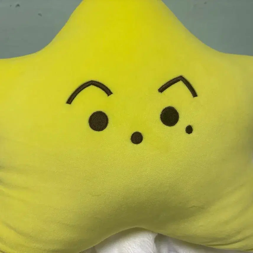 [BUNJANG] NCT Mark Starfish Cushion Doll / 엔시티 마크 별가사리 불가사리 맠가사리 쿠션 인형