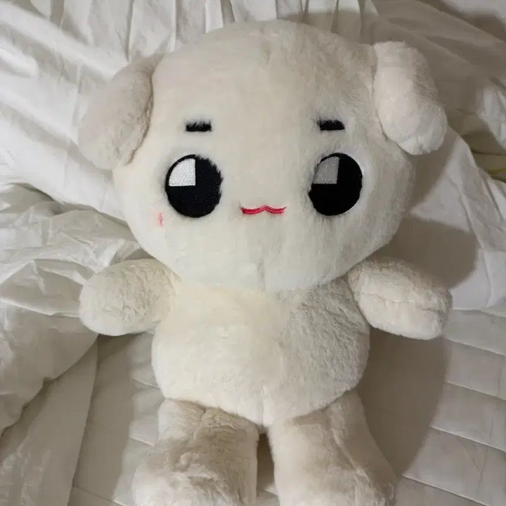 [BUNJANG] NCT 127 Taeyong Big Thongya Doll / 엔시티127 태용 빅툥야 인형
