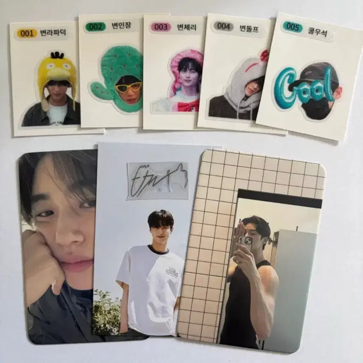 [BUNJANG] Byeon Woo-seok Unofficial Photocard, Electro-Etching Sticker, and Ttibusil Bundle / 바로 보내드려요!) 배우 변우석 비공굿 포카 및 전차스 띠부실 일괄 양도