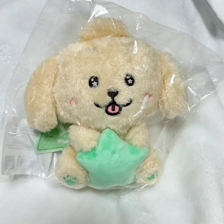 [BUNJANG] Stardoll Dreamriver Jaehee NCT Wish Photocard / 스타위시돌 댕트리버 재희 엔시티위시