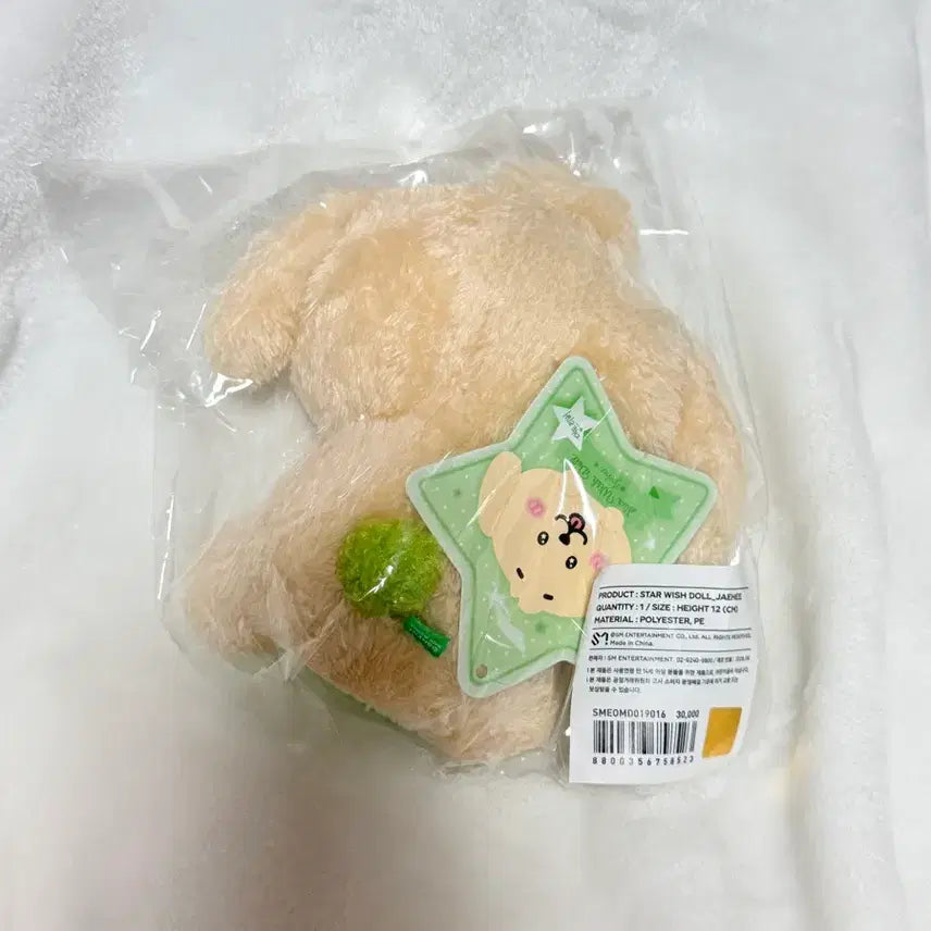 [BUNJANG] Stardoll Dreamriver Jaehee NCT Wish Photocard / 스타위시돌 댕트리버 재희 엔시티위시