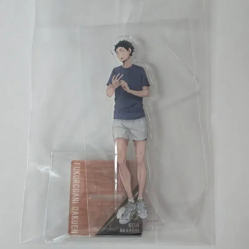 [BUNJANG] Haikyuu!! Akaashi Keiji Acrylic Stand / 하이큐 아카아시 케이지 아크릴 스탠드