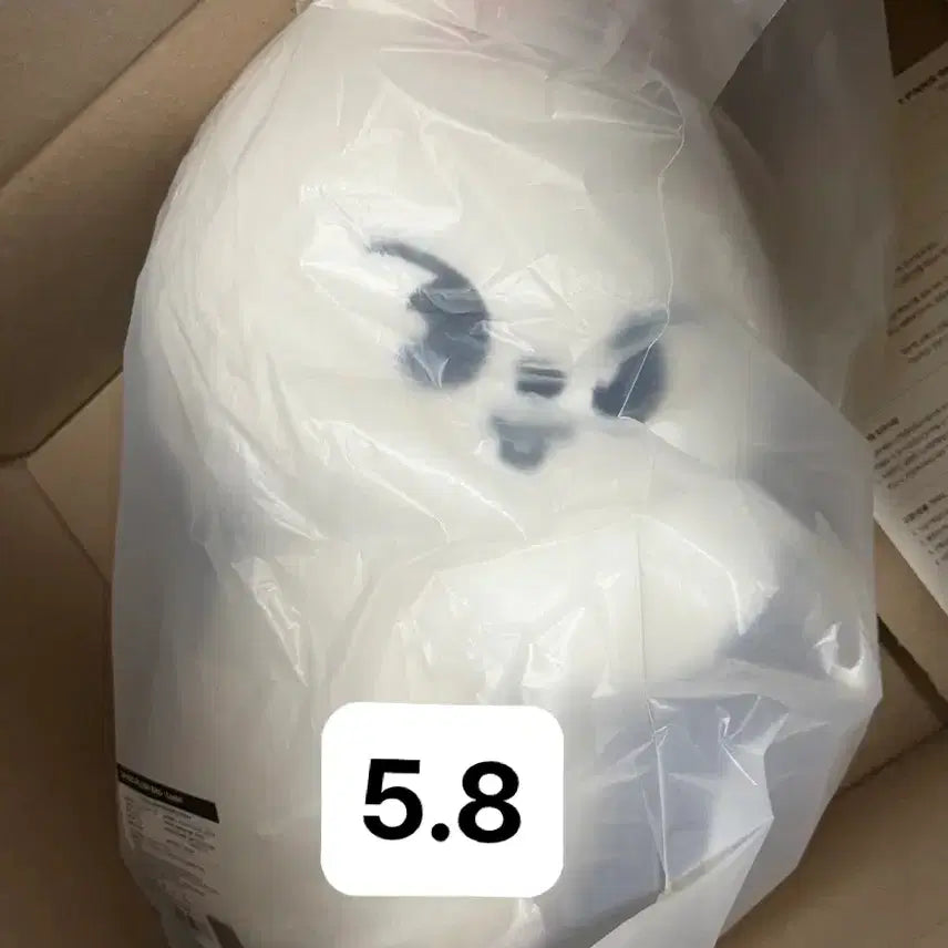[BUNJANG] Stray Kids Leebit Plushback Doll / (미개봉)스키즈 리빗 리노 플러시백 인형 양도 굿즈 앙콘
