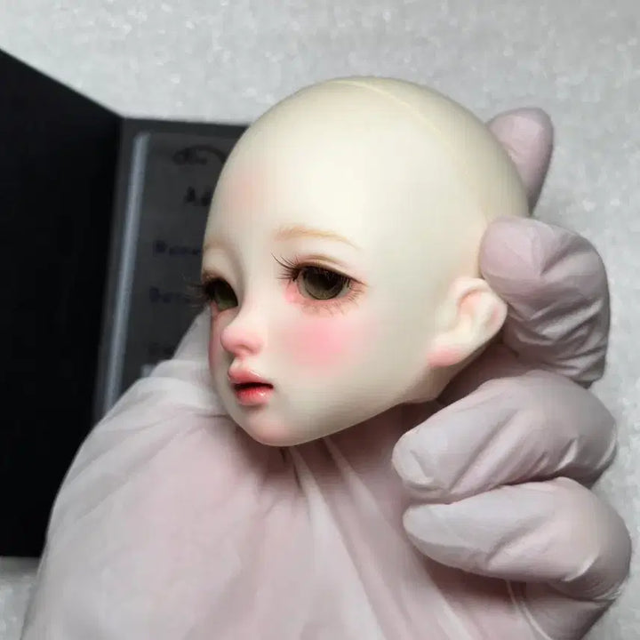 [BUNJANG] Dreaming Doll MSD Lala White Head + Eyes / 드리밍돌 msd 라라 미백 헤드+안구