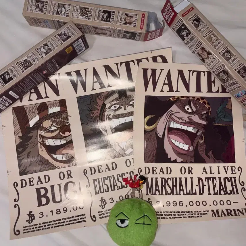 [BUNJANG] One Piece "Wanted" Poster Set (3 Types) + Keychains (2 Types) / 원피스 현상수배 포스터 3종 + 키링 2 판매합니다