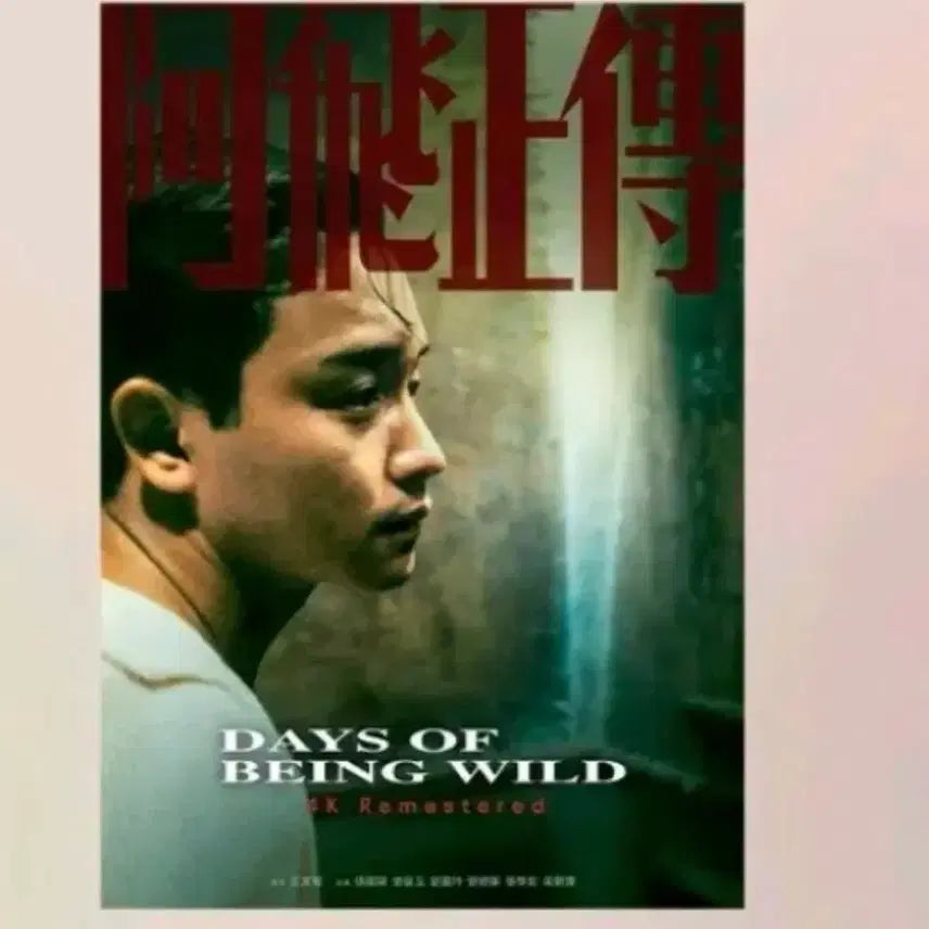 [BUNJANG] The Roundup Artgraphy + Week 2 Weekend Poster / 아비정전 아트그라피 + 2주차 주말포스터