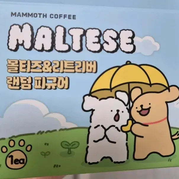 [BUNJANG] Mammoth Coffee Beach Maltese Random Figure / 해변 몰티즈 랜덤 피규어 매머드커피