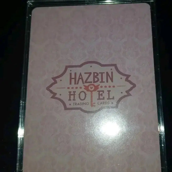 [BUNJANG] Have Been Hotel Velvet Pink Pouch / 해즈빈호텔 벨벳 핑포