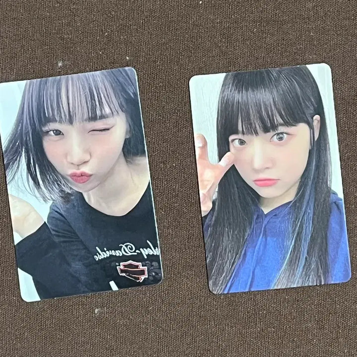 [BUNJANG] LE SSERAFIM Kim Chaewon Hong Eunchae Membership Photocard / 르세라핌 김채원 홍은채 멤버십 포카 포토카드