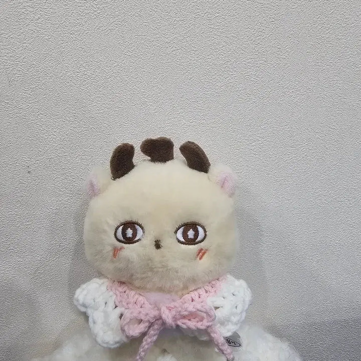 [BUNJANG] Customizable Cape Set with Strawberry Bag / 소심이 케이프 + 딸기가방 세트