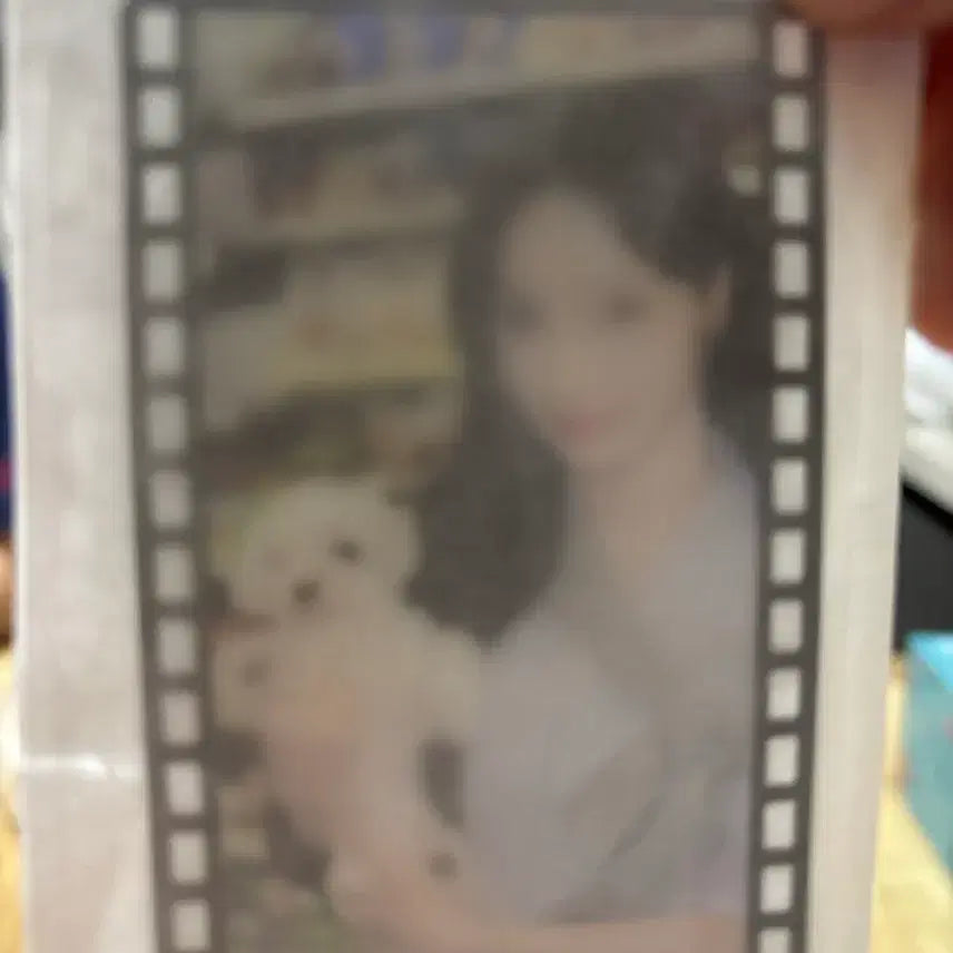 [BUNJANG] Le Sserafim Eunchae Sealed Photocard / 미개봉 르센느 원이 포토카드