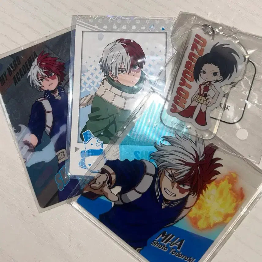 [BUNJANG] Shoto Todoroki Goods Bundle / 토도로키 쇼토 굿즈 일괄