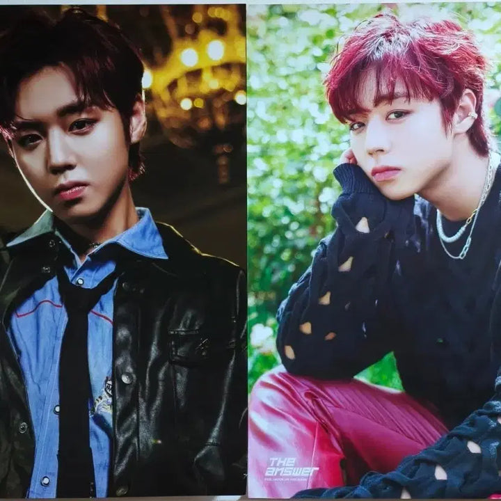 [BUNJANG] Park Ji Hoon THE ANSWER Limited Edition Poster Set / 새상품) 박지훈 앨범 the answer 디앤써 초도한정 특전 포스터 2종 세트