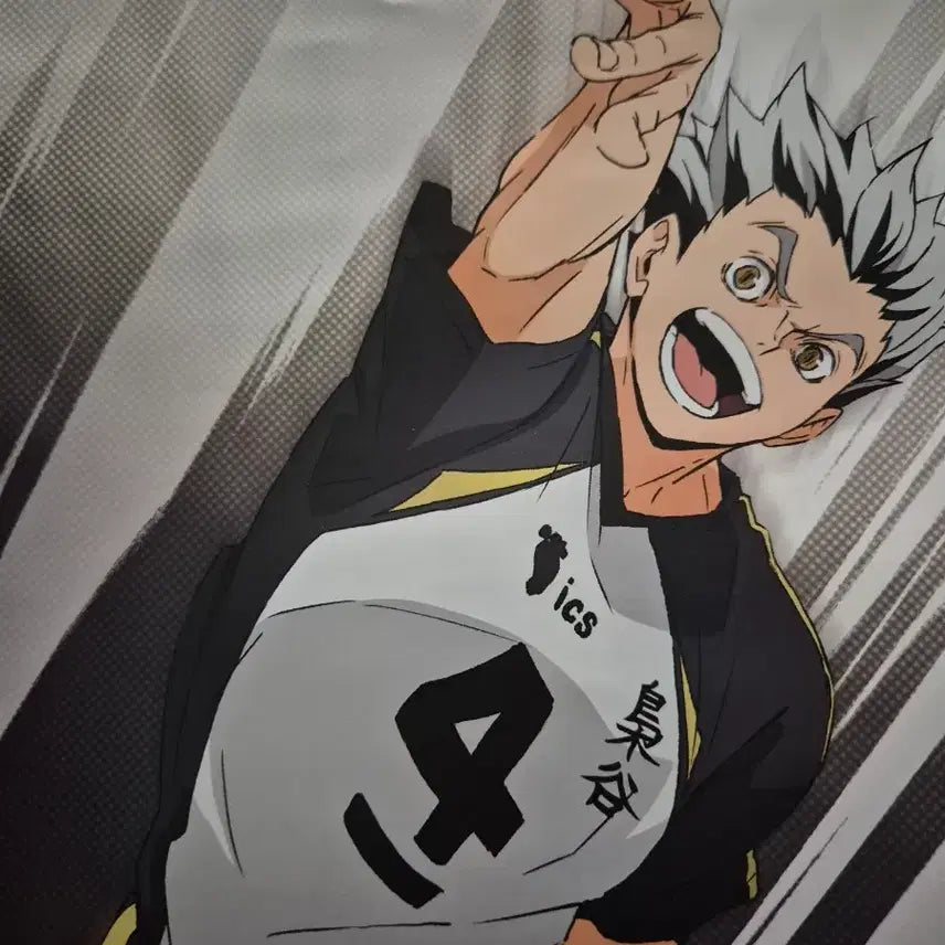 [BUNJANG] Haikyu!! Bōguto Poster / 하이큐 보구토 포스터