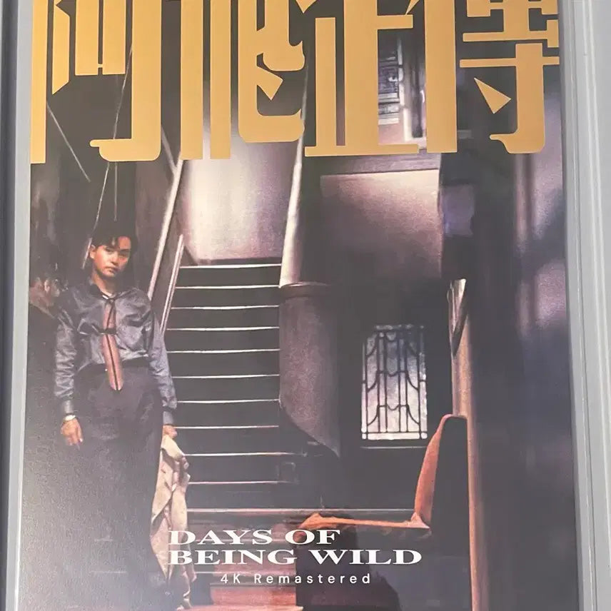[BUNJANG] Abyss Cinema Signature Poster / 아비정전 청춘 시그니처 포스터