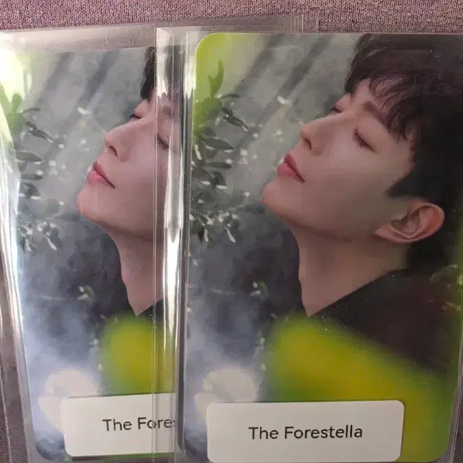 [BUNJANG] The Forestella Album Photocard / 더 포레스텔라 앨범 포토카드