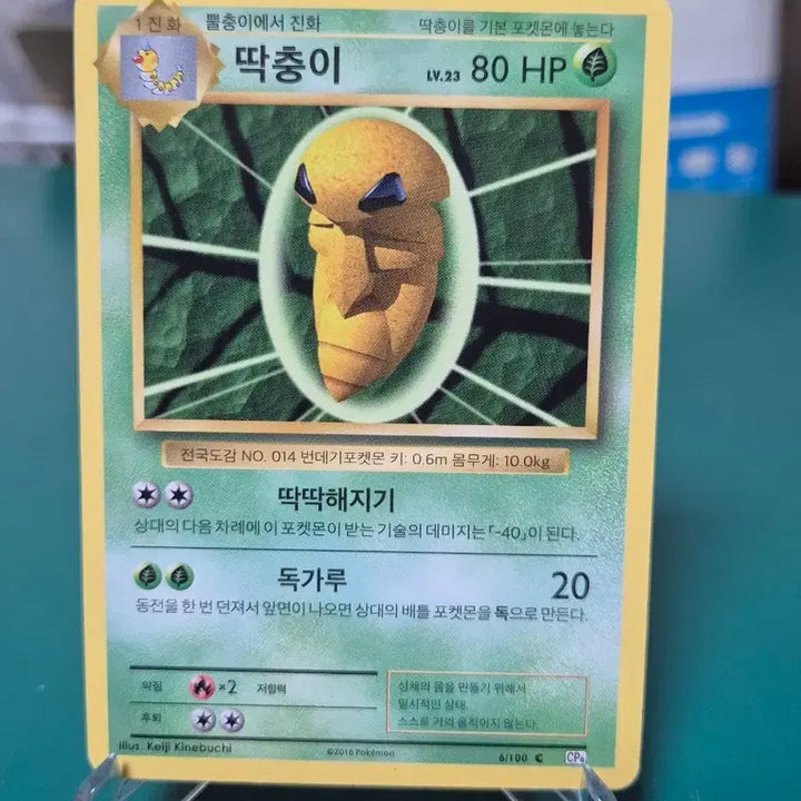 [BUNJANG] Pokemon Card - Chirp Bug 20th Anniversary CP6 / 딱충이 20주년 cp6 포켓몬카드
