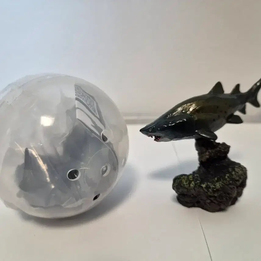 [BUNJANG] Bandai Shark Collection Gacha Bust Shark / [반다이] 상어 컬렉션 가챠 흉상어 팝니다