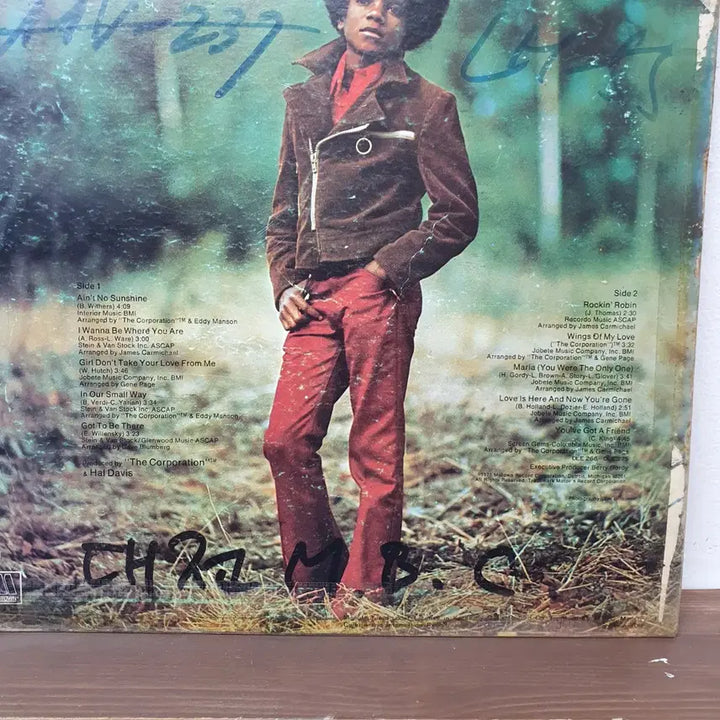 [BUNJANG] Michael Jackson LP Record / 마이클잭슨 LP