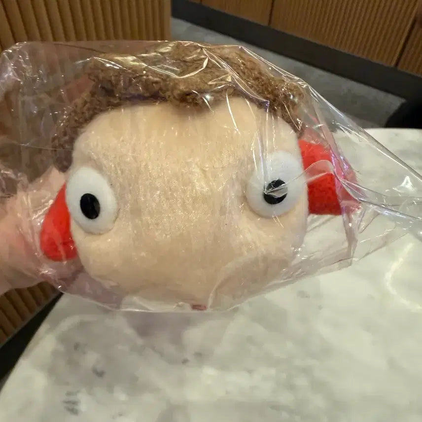 [BUNJANG] Studio Ghibli Ponyo Doll &amp; Water Bottle Bundle Set / 도토리숲 포뇨 인형, 물병 일괄