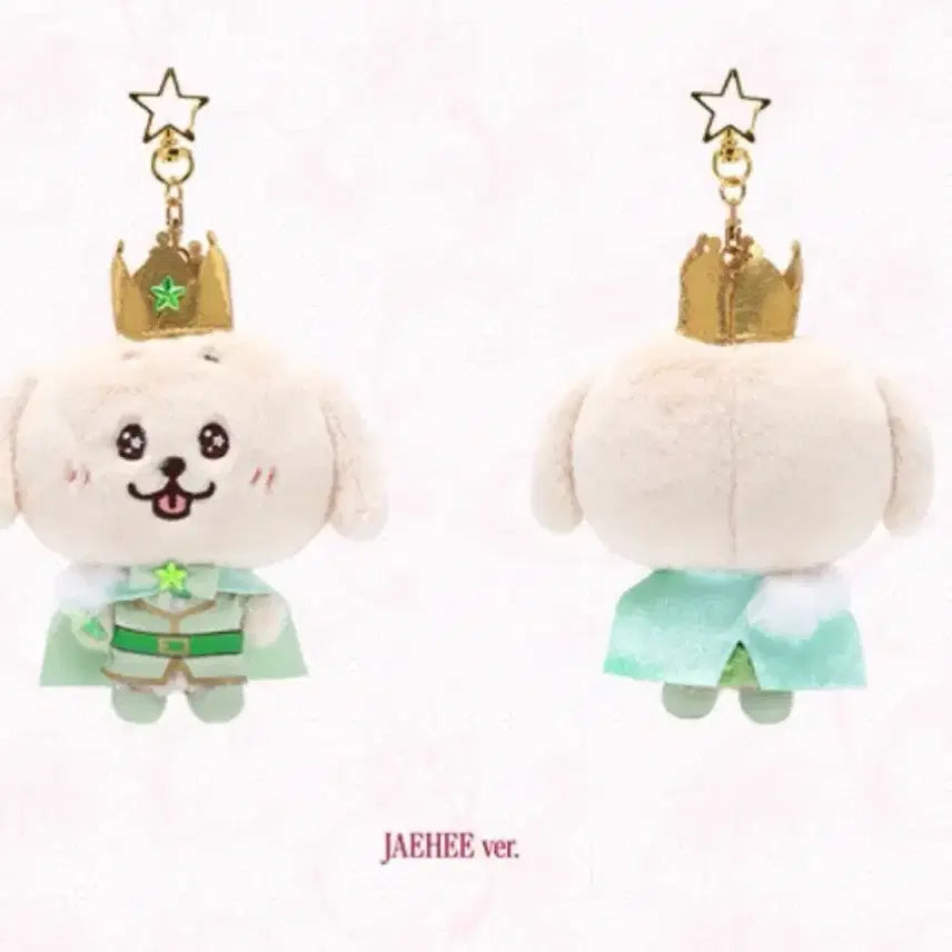 [BUNJANG] NCT WISH Jaehee Prince Wishdoll / 엔시티 위시 프린스 위시돌 / 재희 (댕트리버)