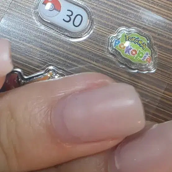 [BUNJANG] Pokemon Pocopia Bonbon Sticker 