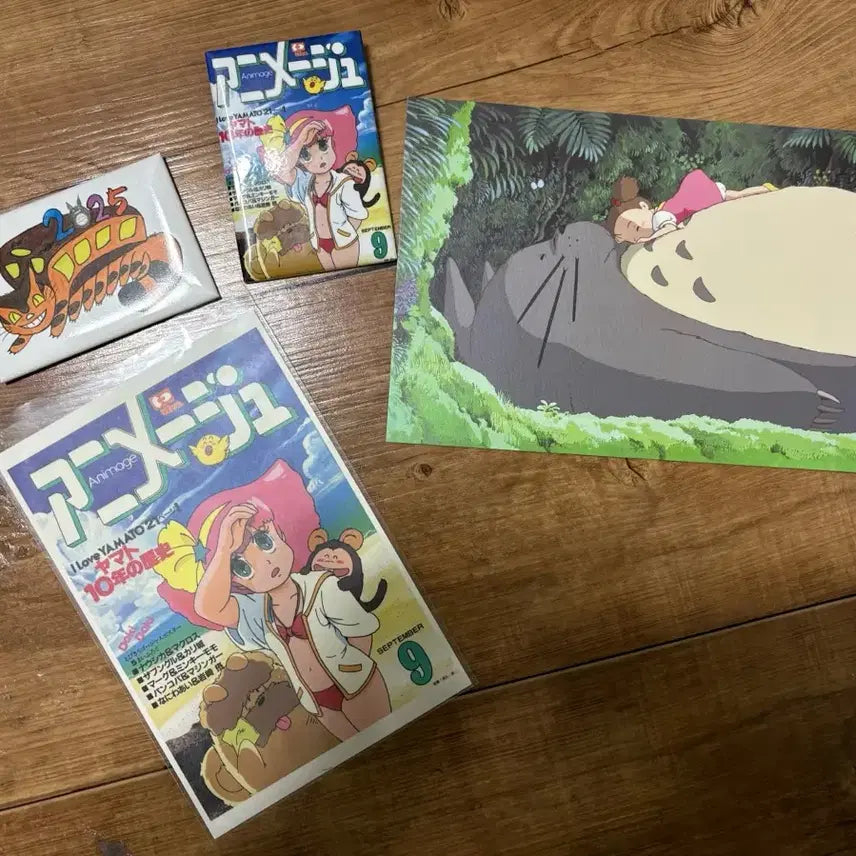 [BUNJANG] Ghibli Exhibition Goods Bundle (Magnet, Pin Badge, Postcard) / 아니메쥬와 지브리전 굿즈 일괄(자석 핀뱃지 엽서)