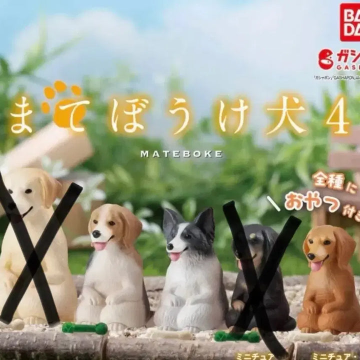 [BUNJANG] Machi Boke Dog Figure Bundle Set / 마치보우케 강아지 판매(일괄)