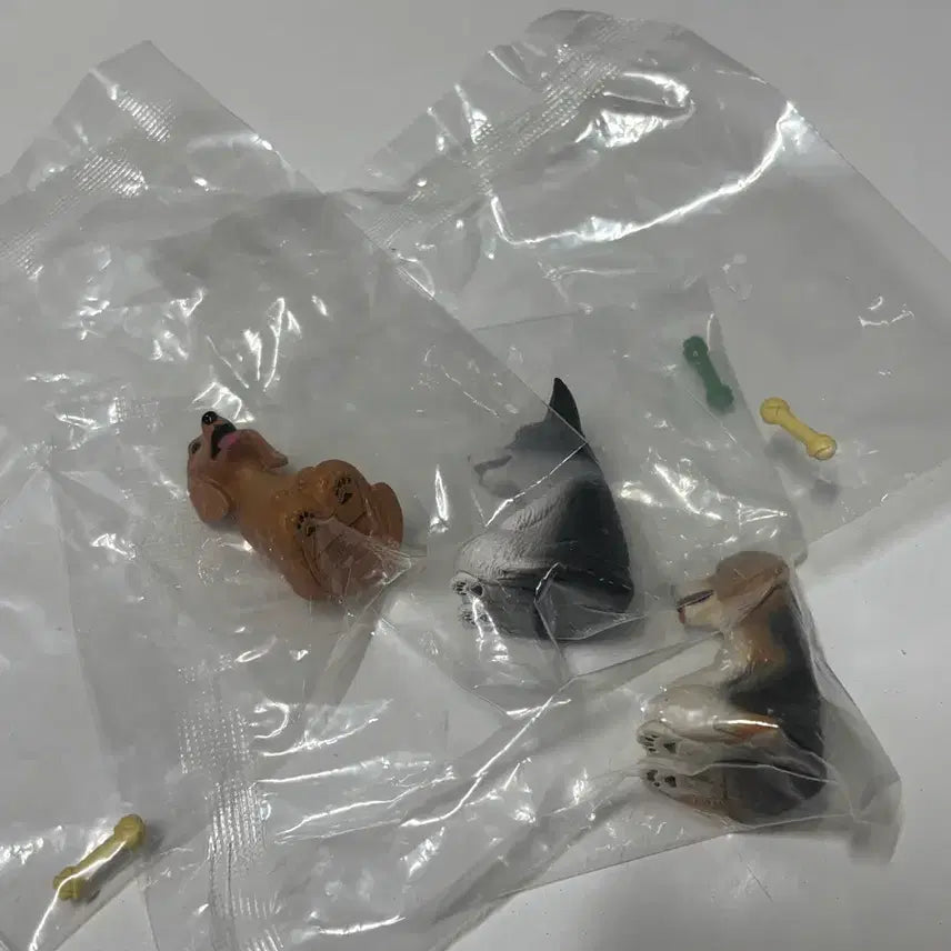 [BUNJANG] Machi Boke Dog Figure Bundle Set / 마치보우케 강아지 판매(일괄)
