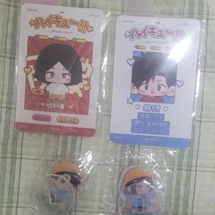 [BUNJANG] Haikyuu!! Kuroo &amp; Kenma Chibi Plush Set / 비공굿) 하이큐 쿠로켄마 치비 누이