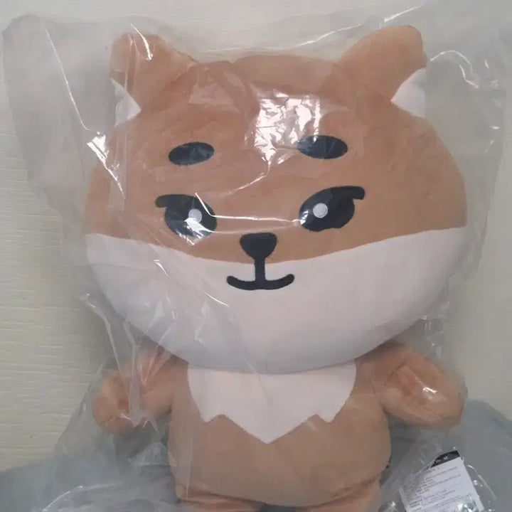 [BUNJANG] Day6 Giant Denimals K Sealed + Polaroids / 데이식스 자이언트 데니멀즈 케 미개봉+폴라
